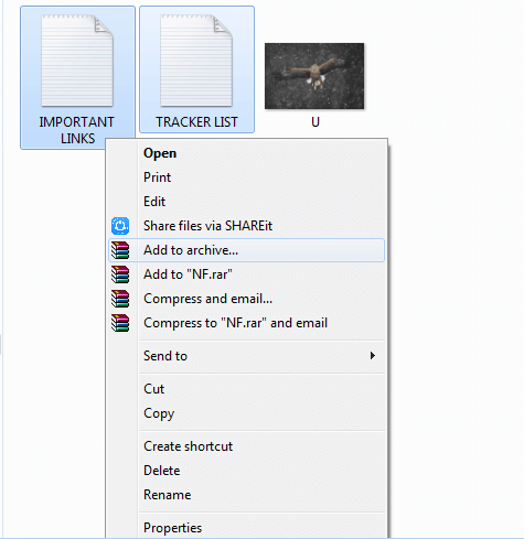 Add to archive the two files