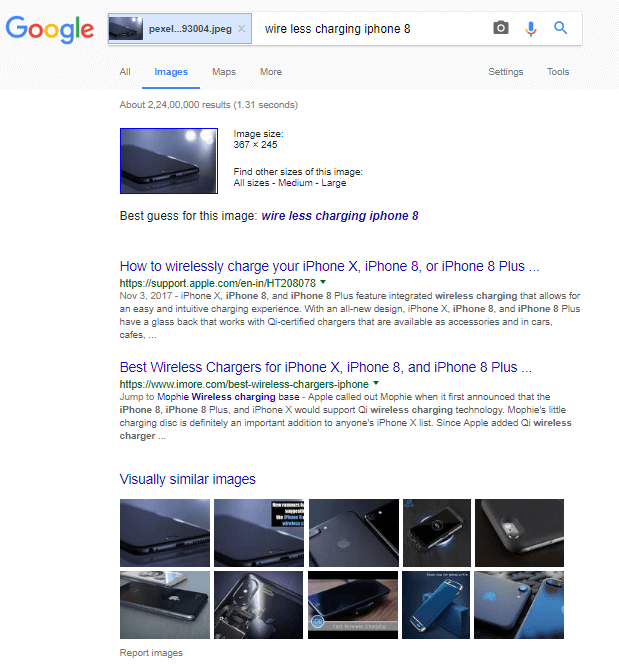 Google Reverse Image Search Results