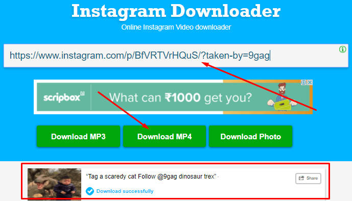 Download Instagram Video using Instagram Downloader Online