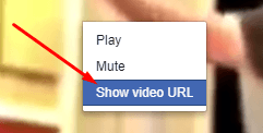 How to Save Videos from Facebook - Show Video URL