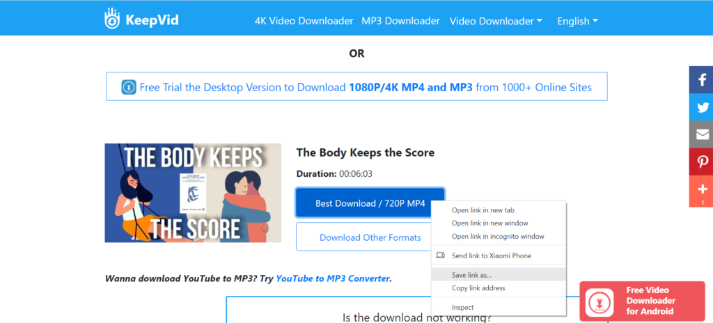 Download embedded video from keepvid.pro