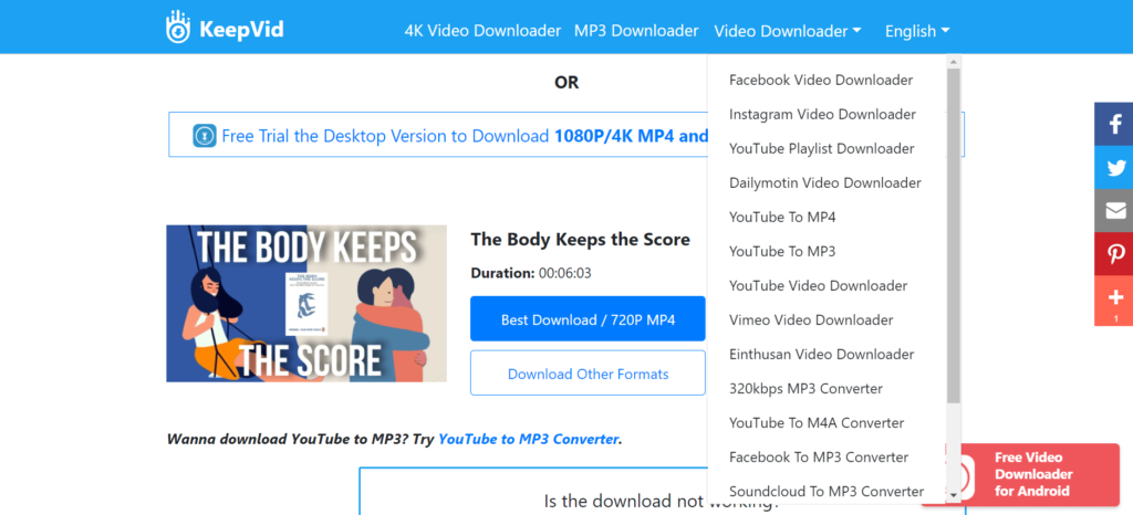 Download Embedded video from different sites using keepvid.pro