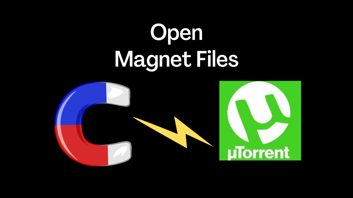 open torrent magnet link