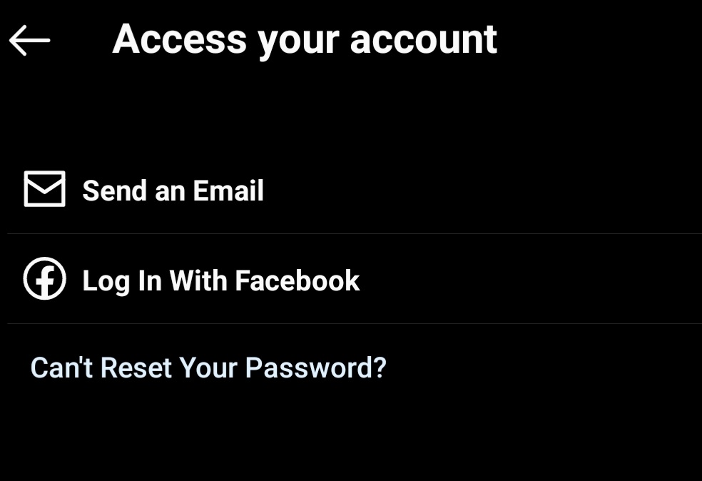Tap on Send an Email option to receive the confidential link to change Instagram password. 