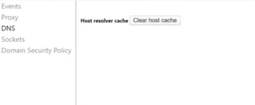 Clear Host Cache in the DNS section of the tab. 