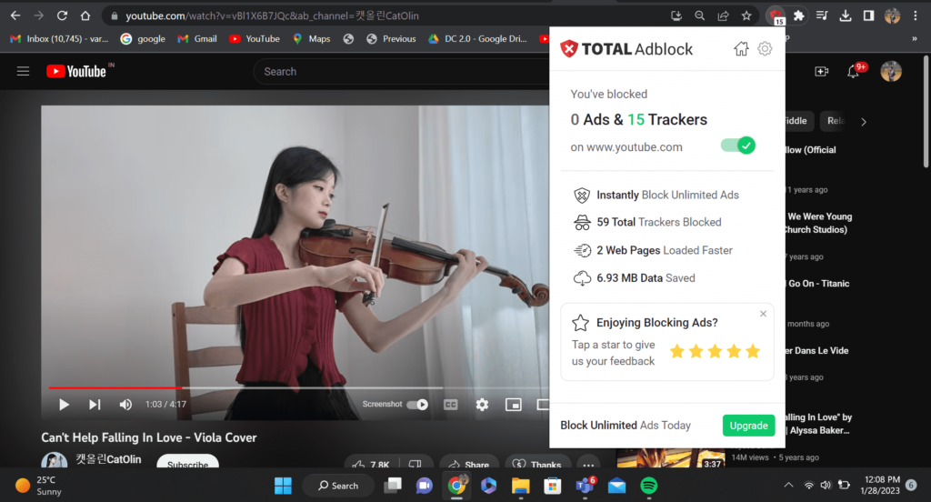 Skip Youtube ads using ad blockers