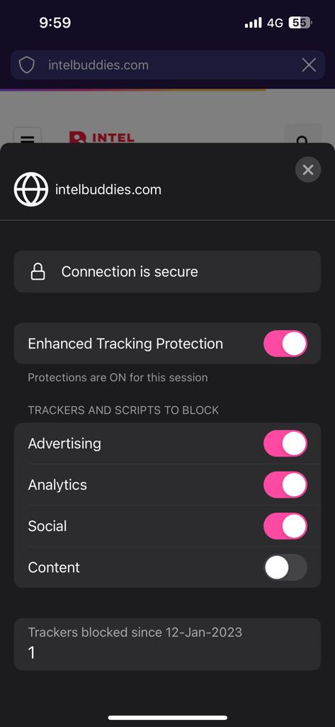 Enable adblockers on iPhone