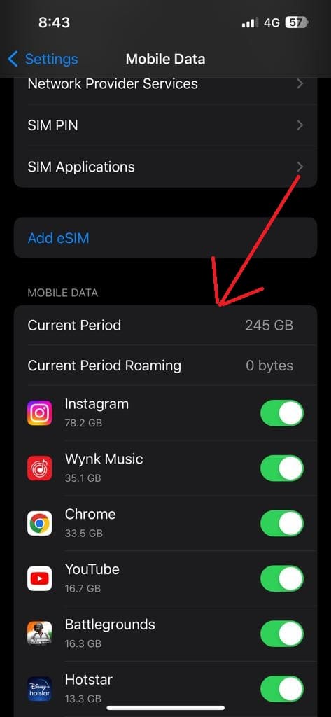 check data usage on iPhone for every app