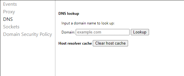 Clear Net internals DNS cache on Chrome
